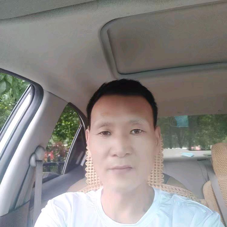 龙行天下1973