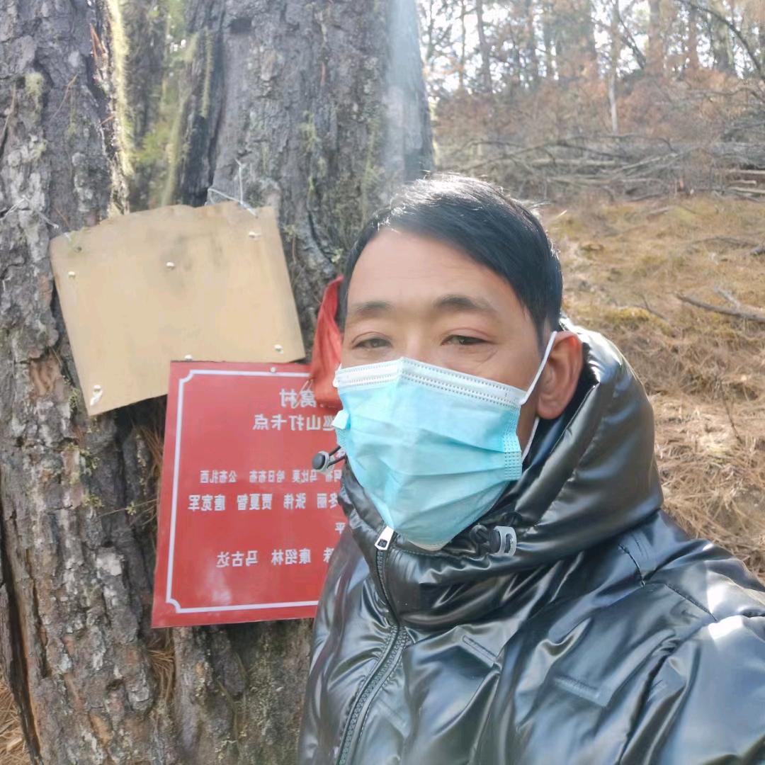 翱翔天空