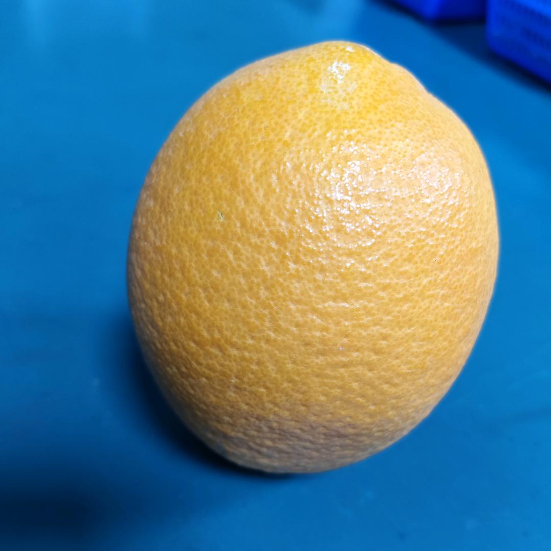 橙子