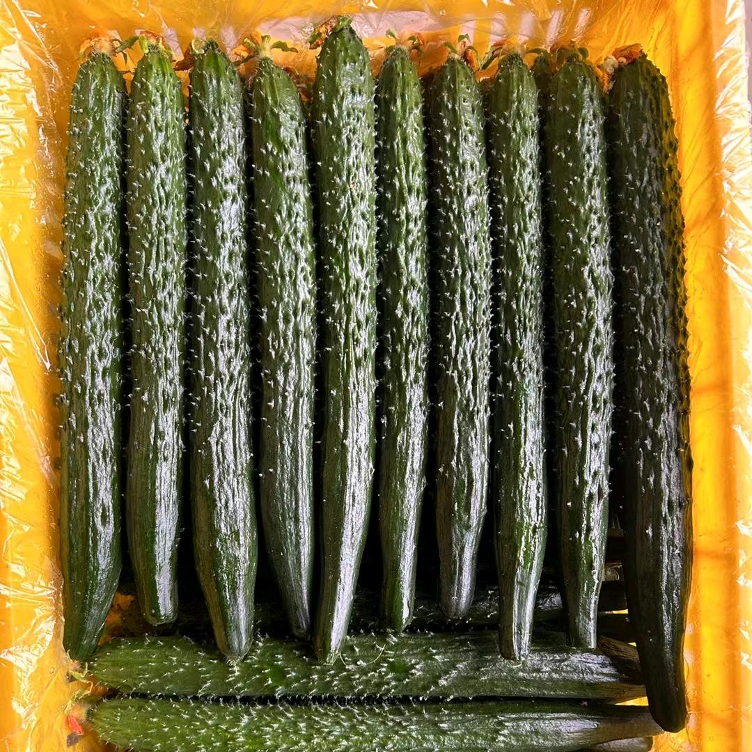 王小冬