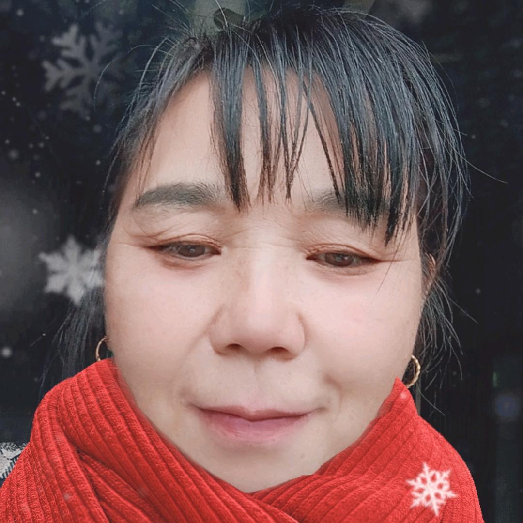 自由飞翔