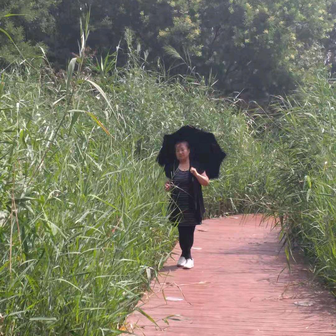 樱玉秋缘
