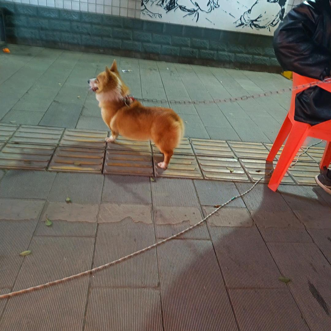 我这一辈子太傻