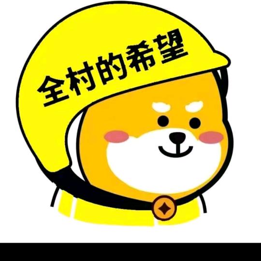非你不看【已蛇🐉】