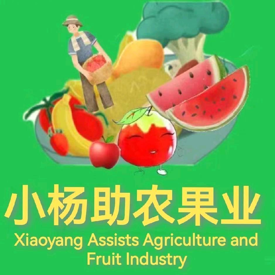 瓜果小杨《承接各种代卖》