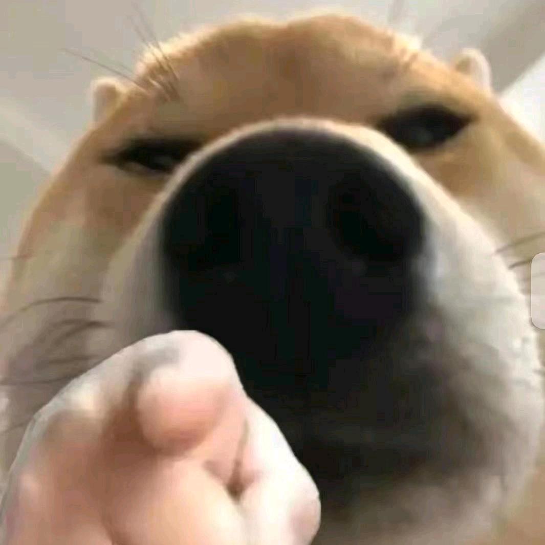 指定没你好果汁吃
