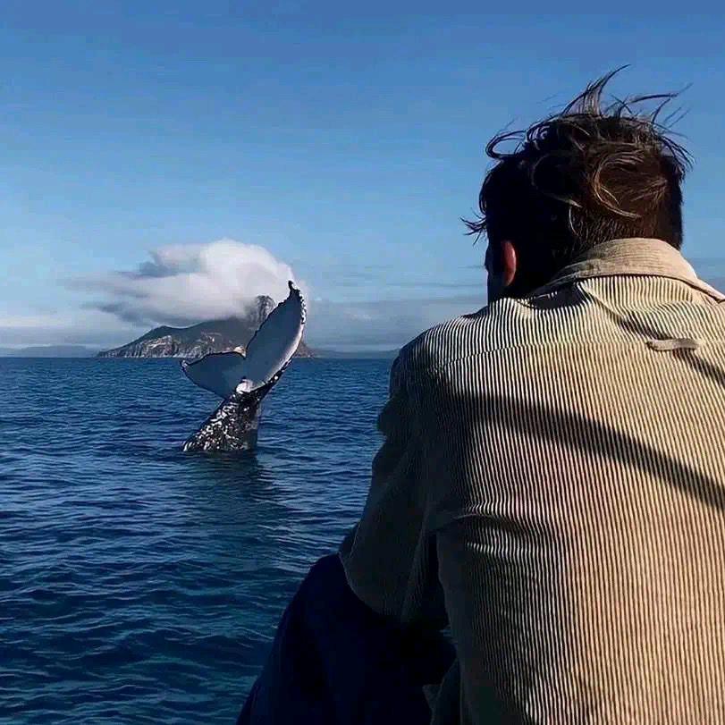 AAA建材批发刘哥888