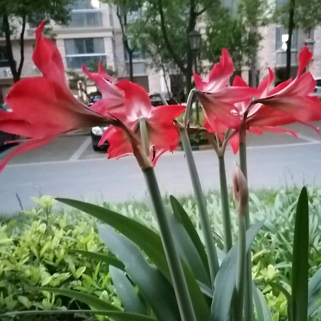 日常生活~