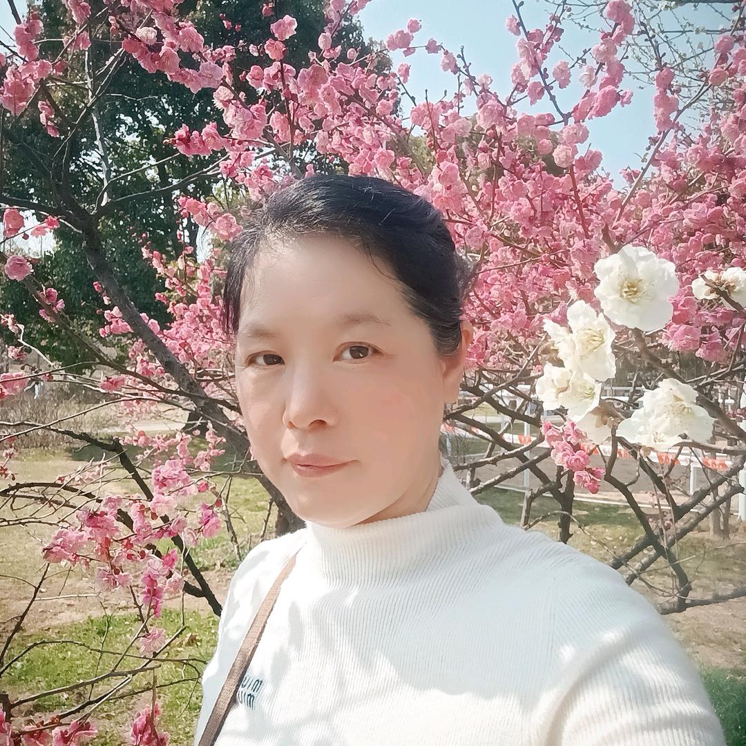 平平淡淡才是真