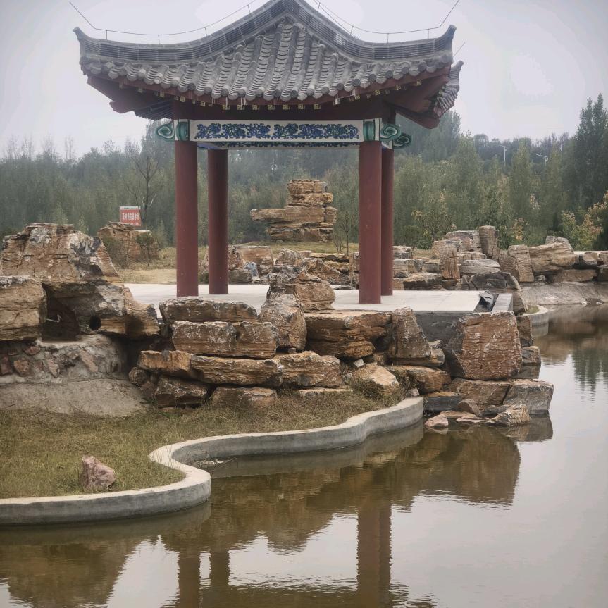 鹏～哥