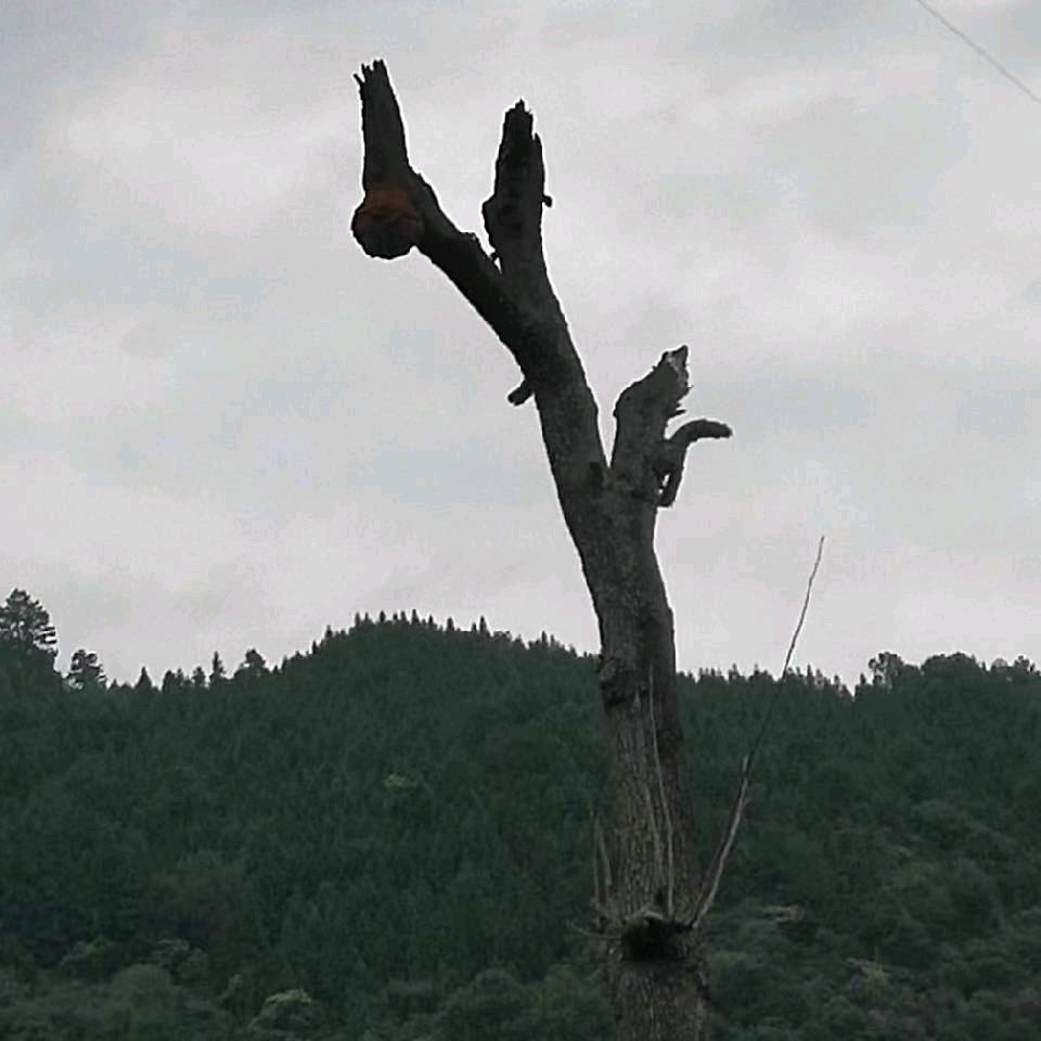 随缘而行