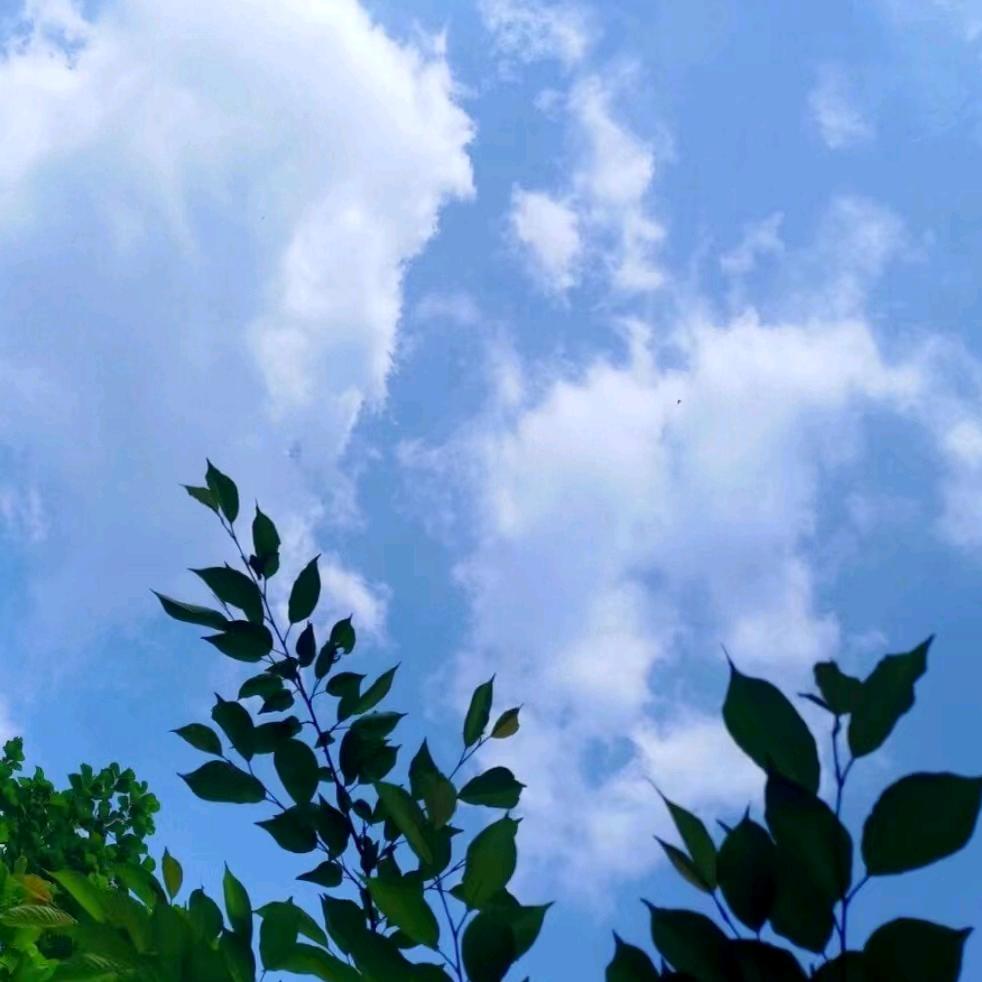 许诺~｛一诺千金｝