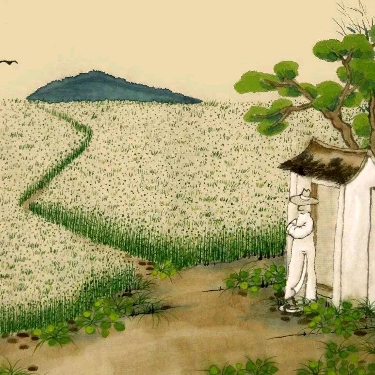 方寸