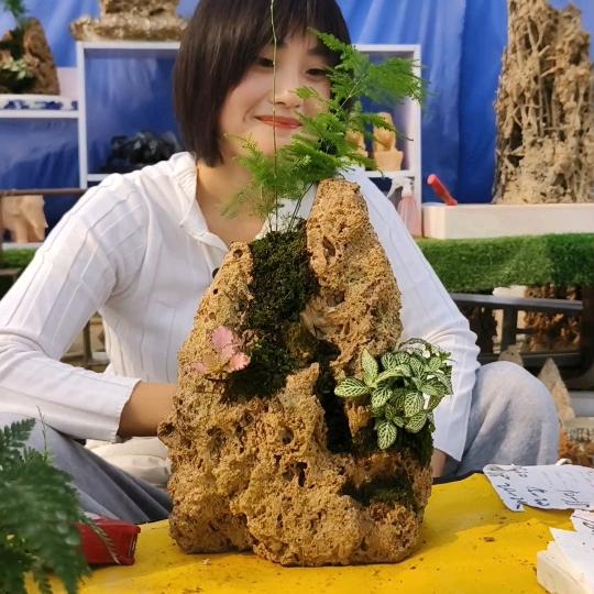 植觉景观on-line