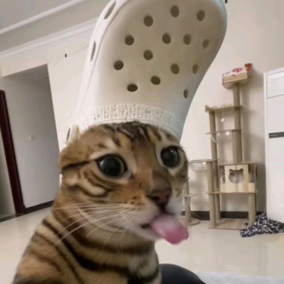 歪歪ovo