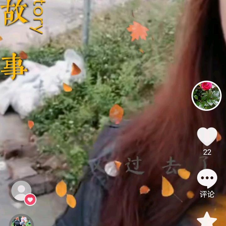末来自顾自