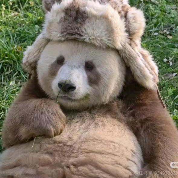 笑笑一天就过去了