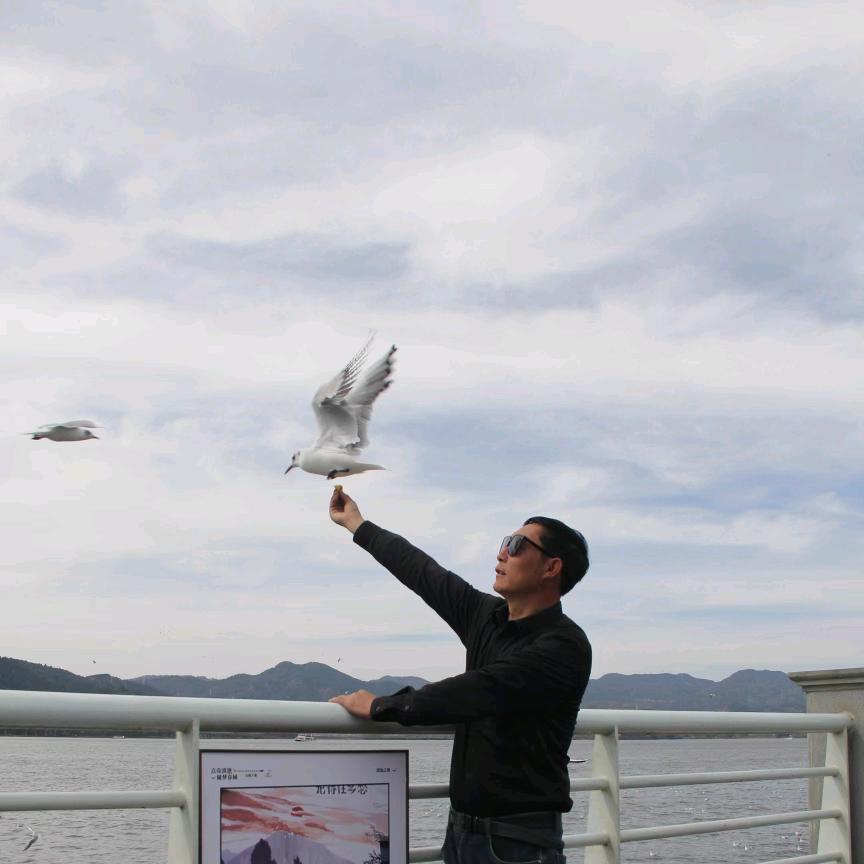 白度再牛，也收不到我的烦恼。