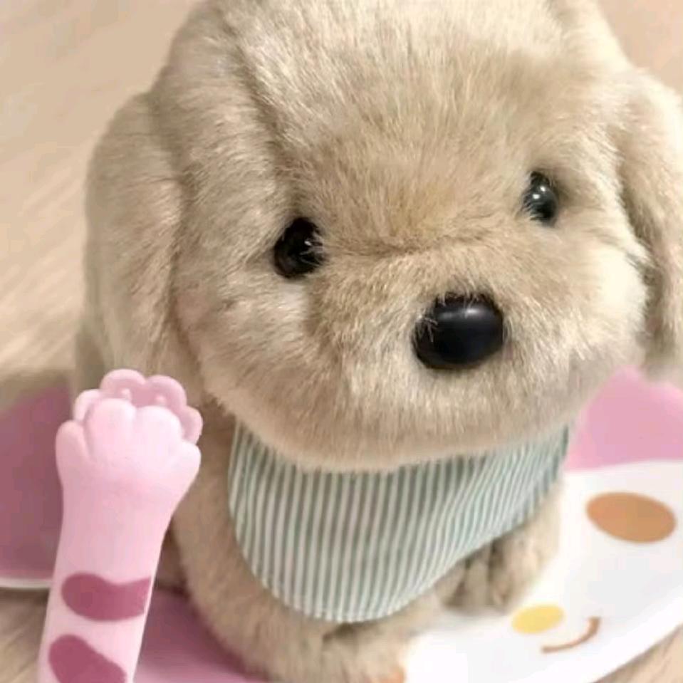 二百一十二点九一