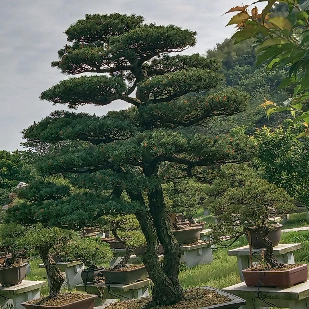 宏一