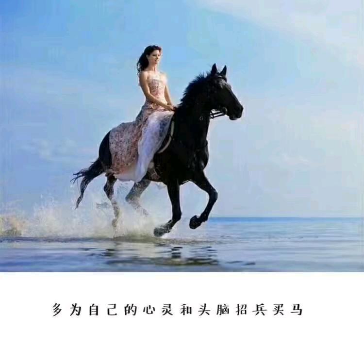 寻找心灵驿站