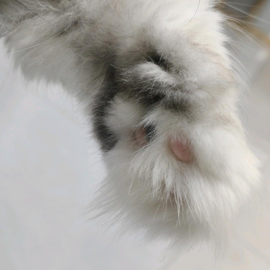 佛曰我们不合适