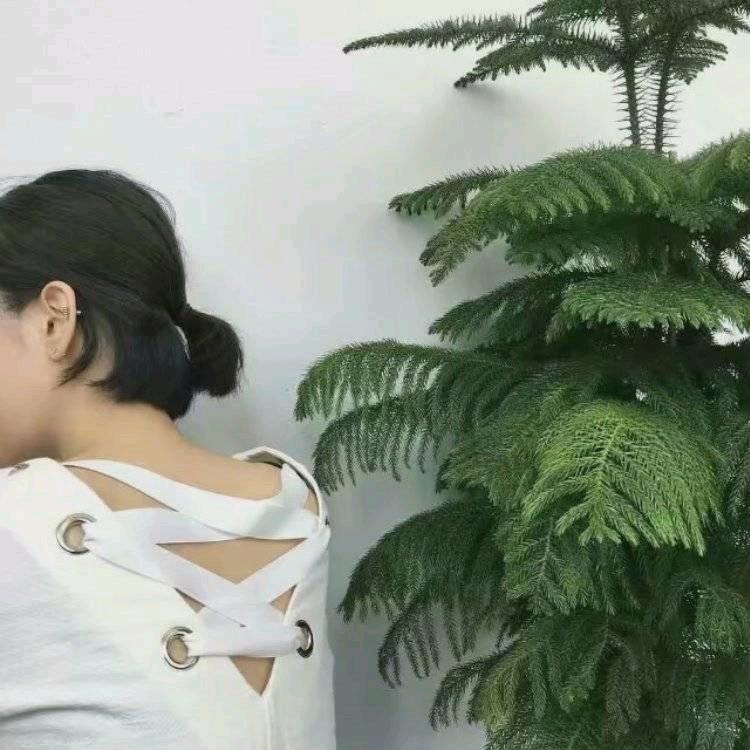 农资小姐姐