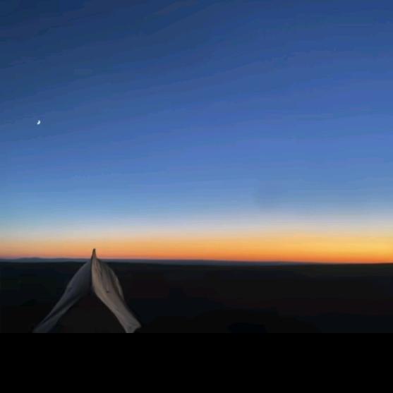 差不多是只废喵了☀️🌼