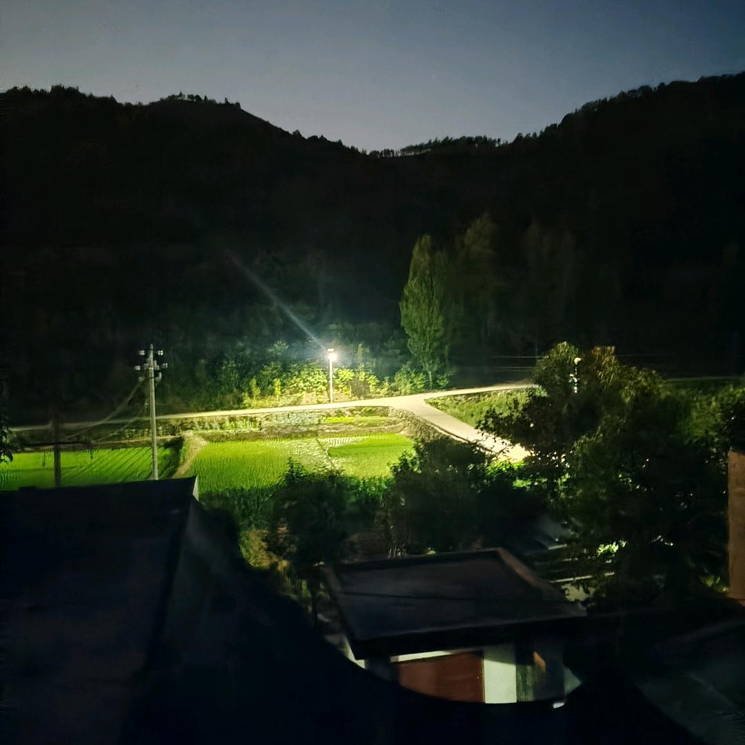 随/风