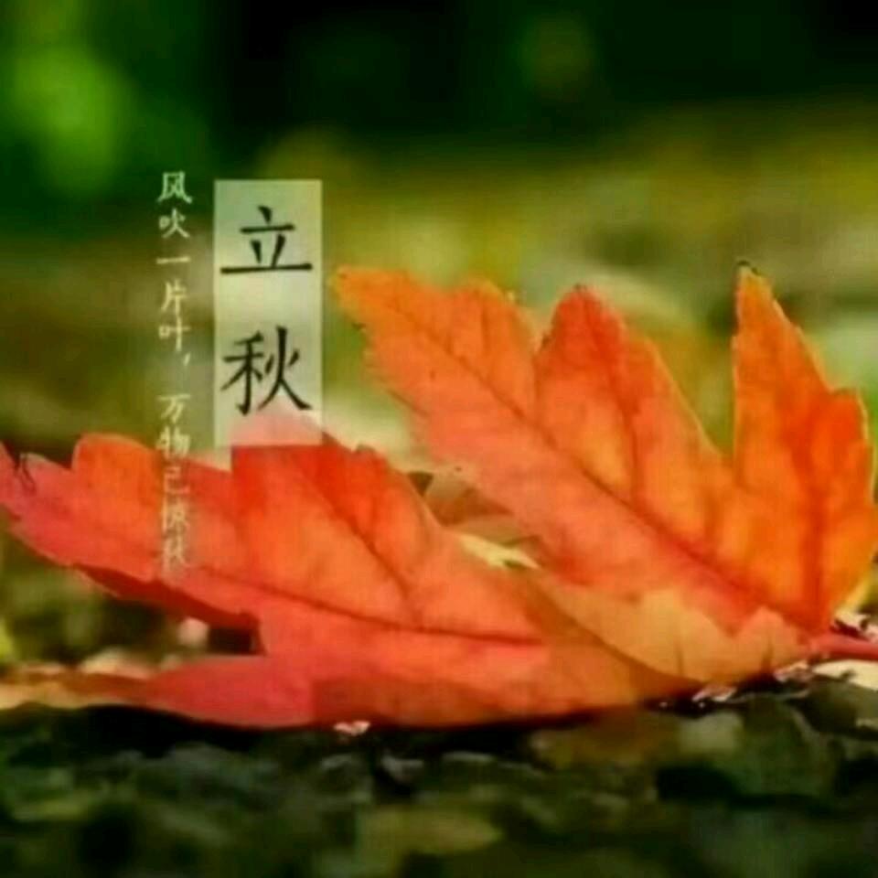 随风漫步