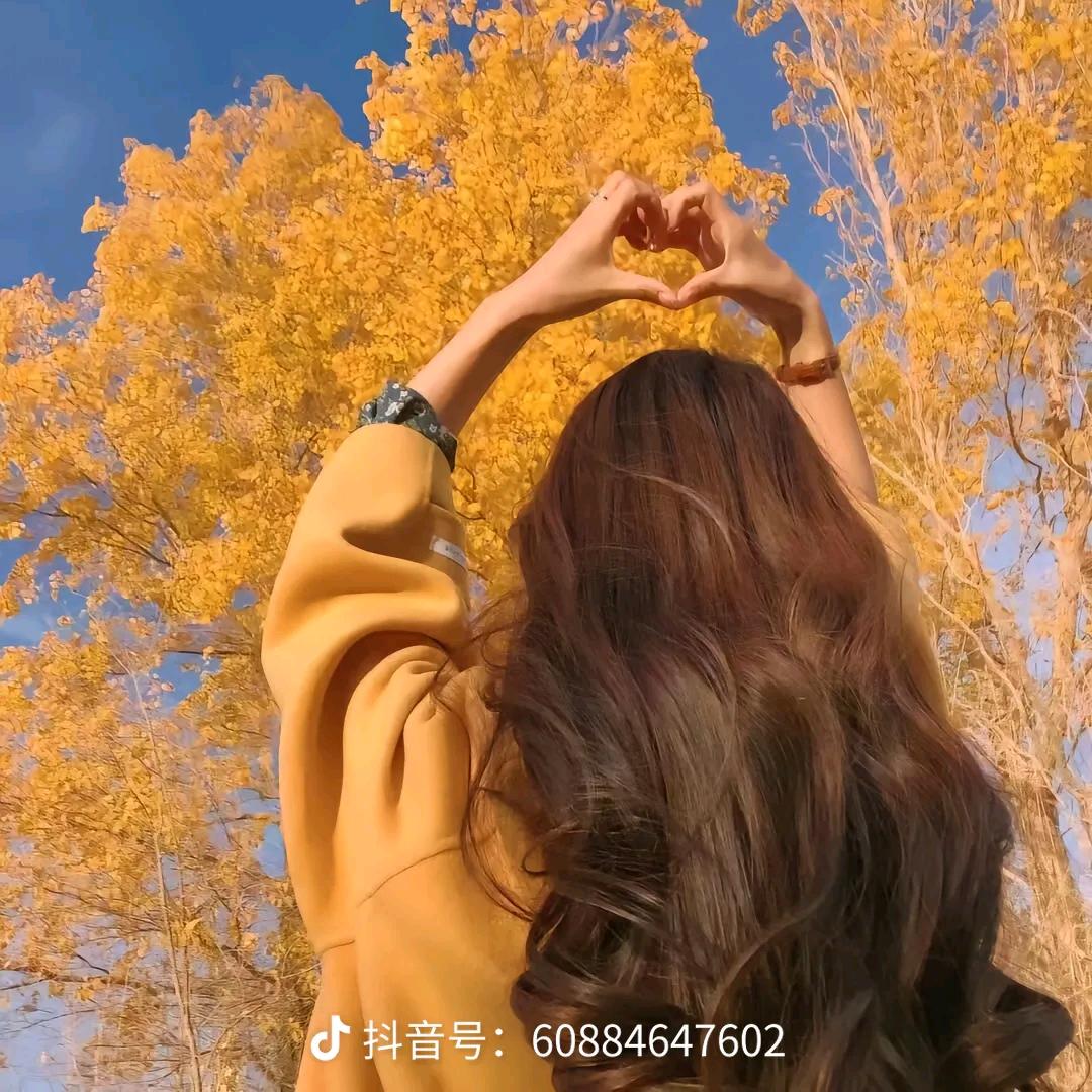 丹红云飘