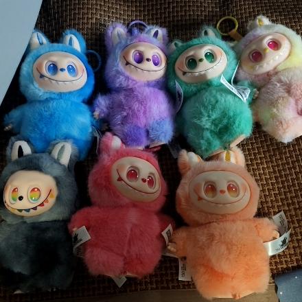 郑杰伦  郑肉肉