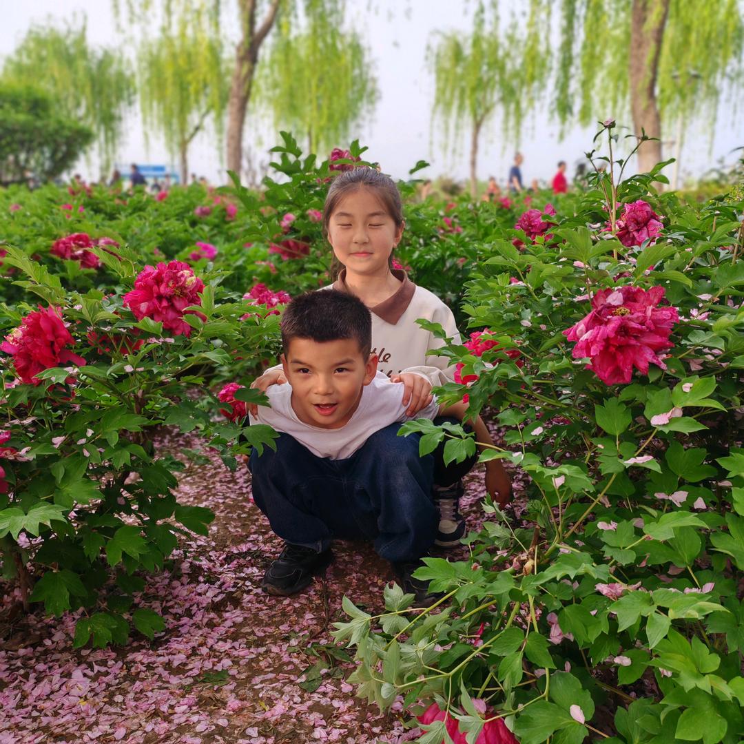 呆萌小鹿（新人互助涨粉）