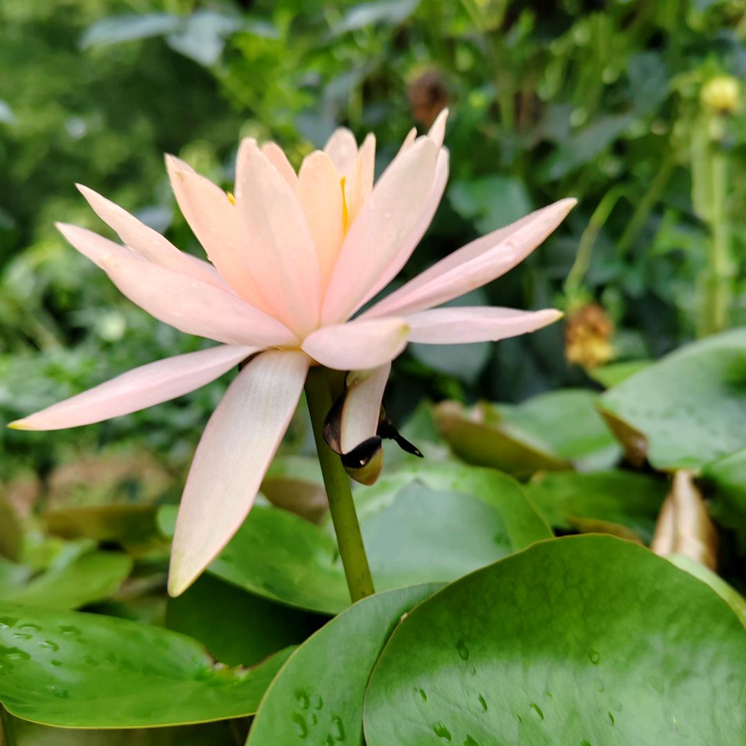 以过半生，好好珍惜。