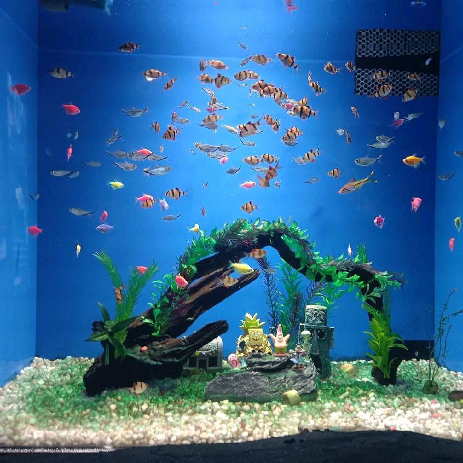 浩瀚