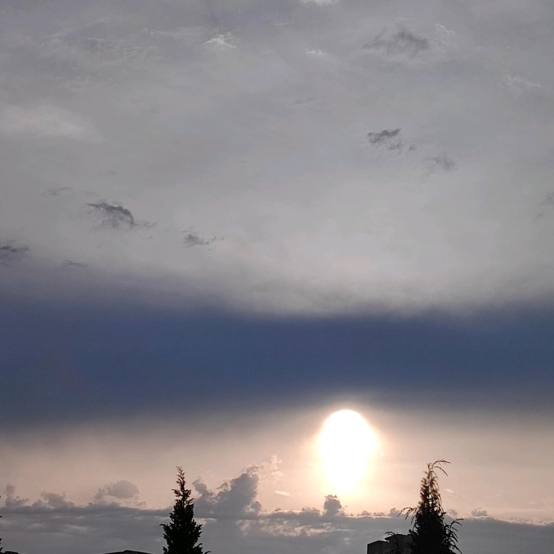 晋城装修-夭夭🧐