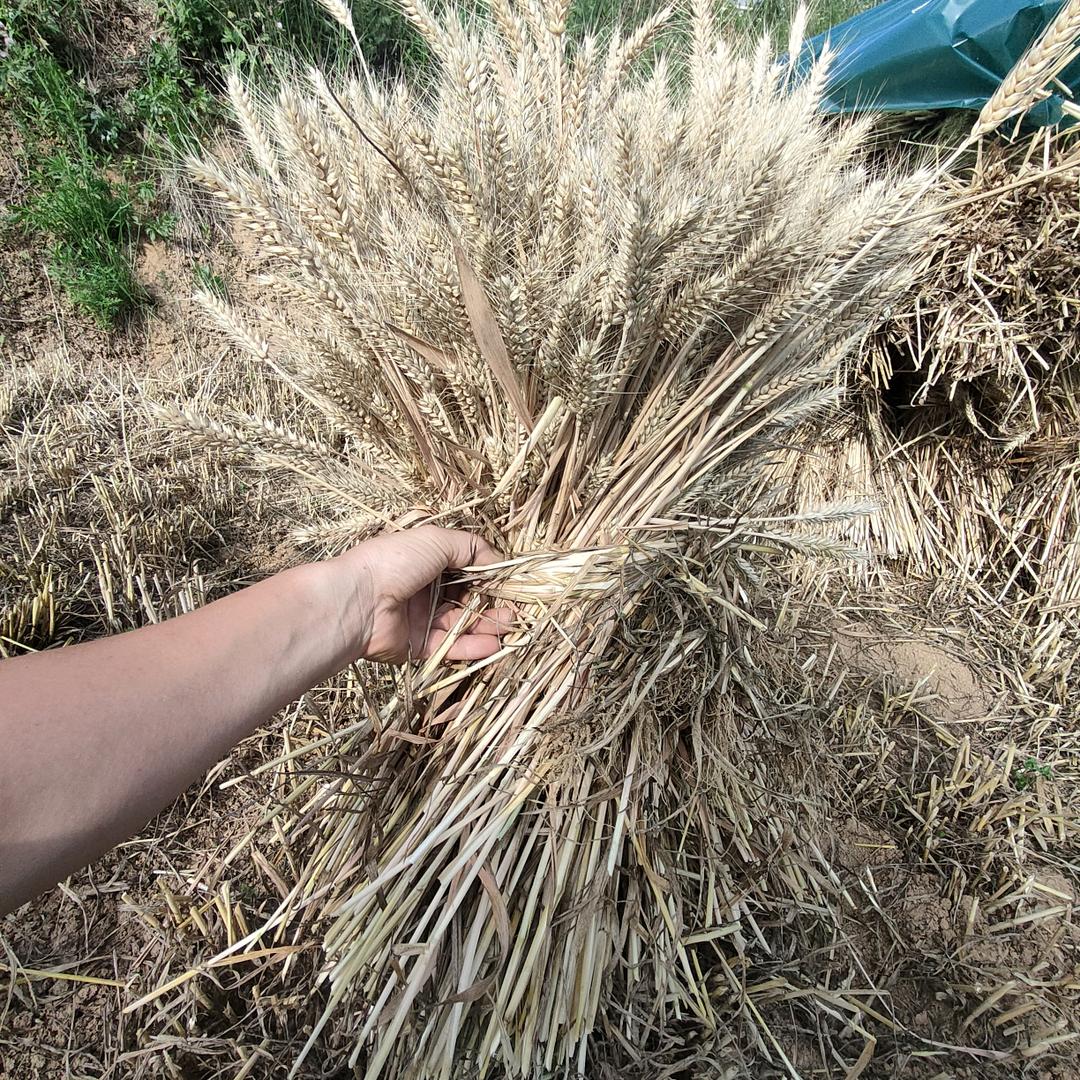 最初