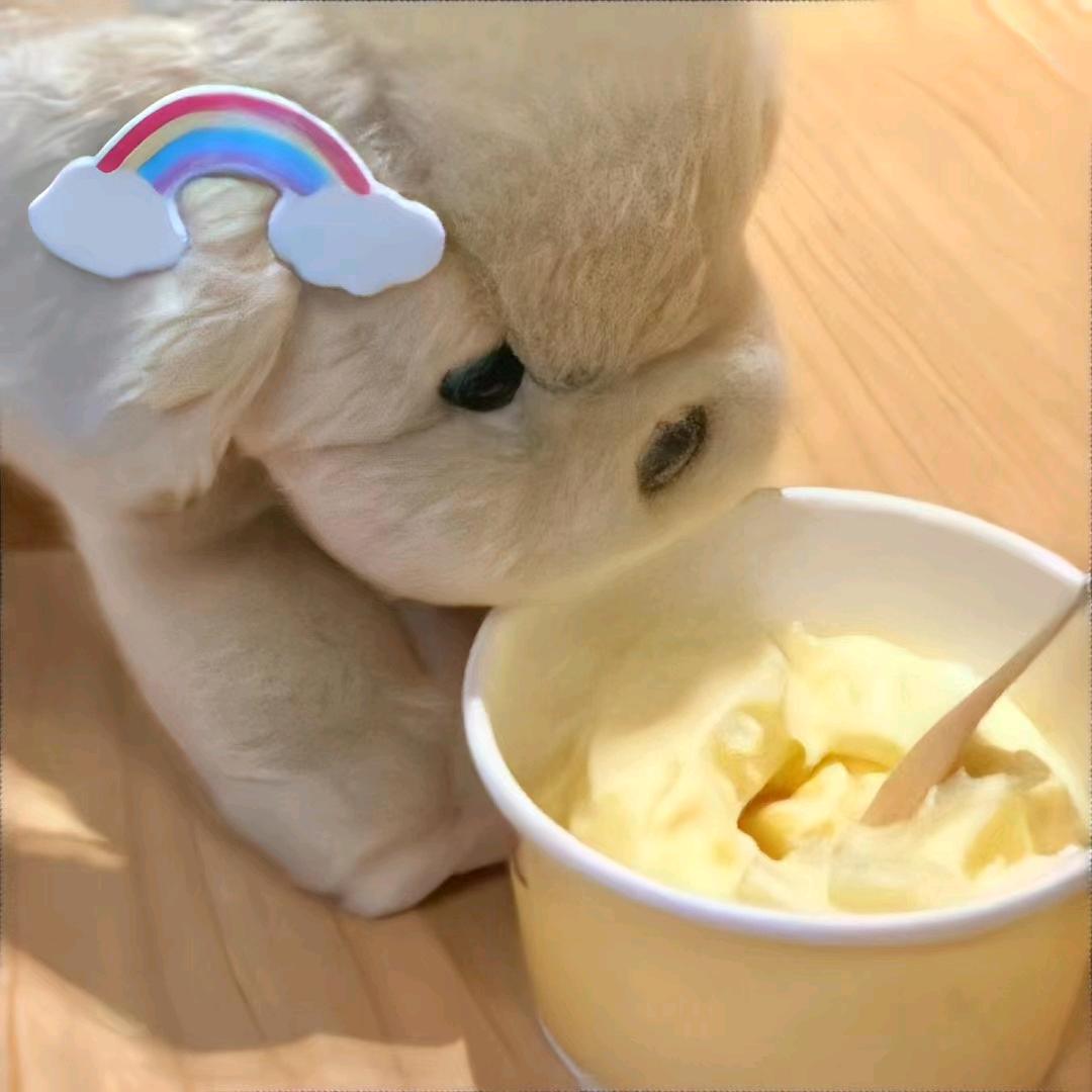 想去看海