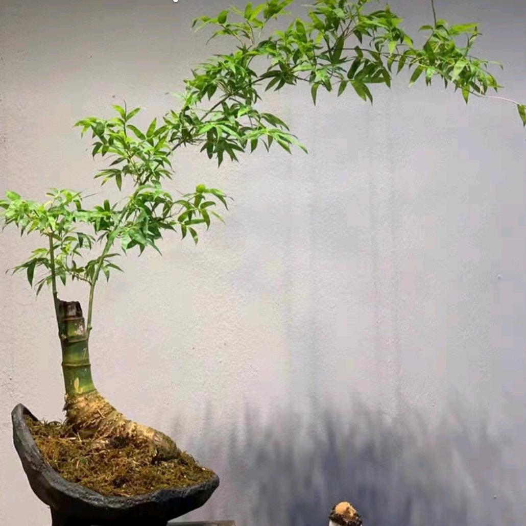 笔尖下的浪漫