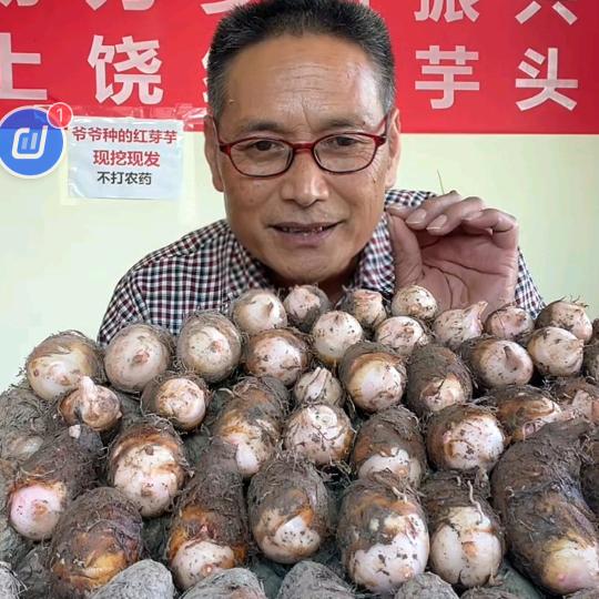 山清农业