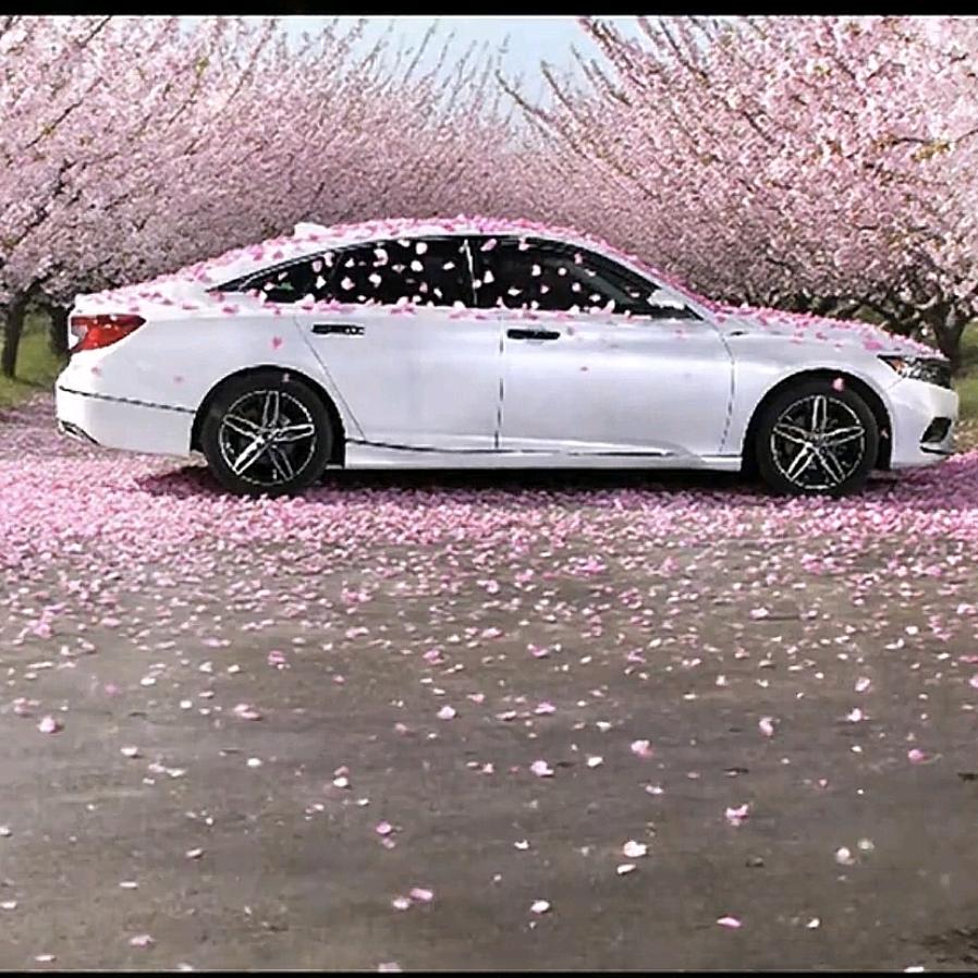 YYDS（朋友圈版）