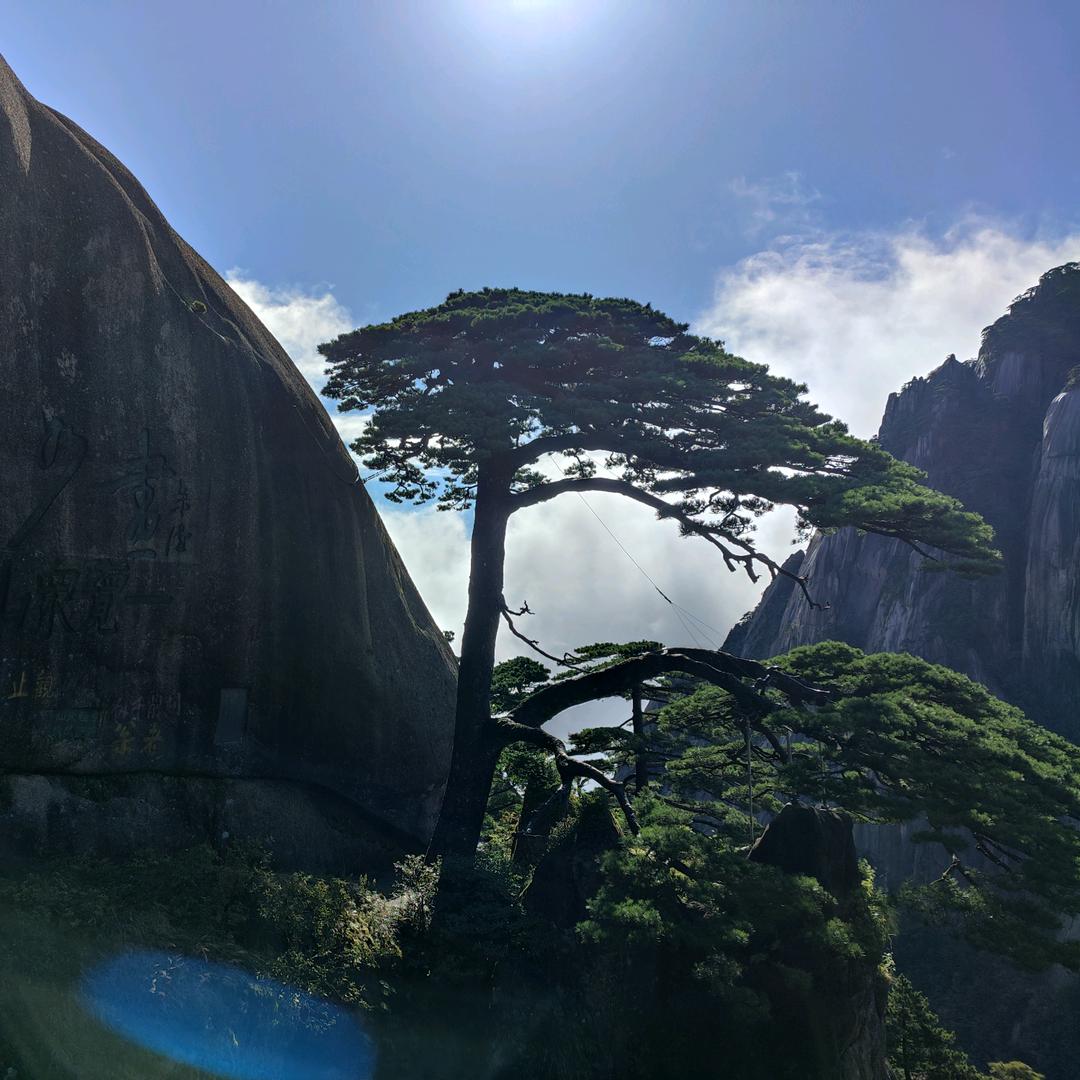 文商旅阿飞