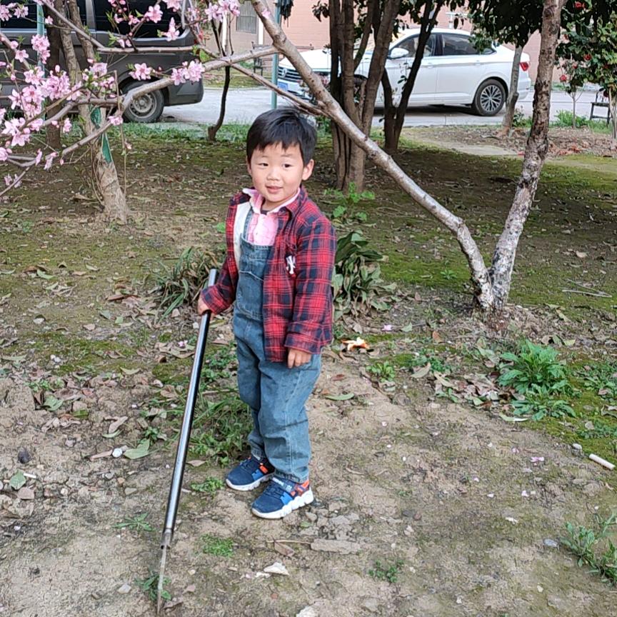 云芳
