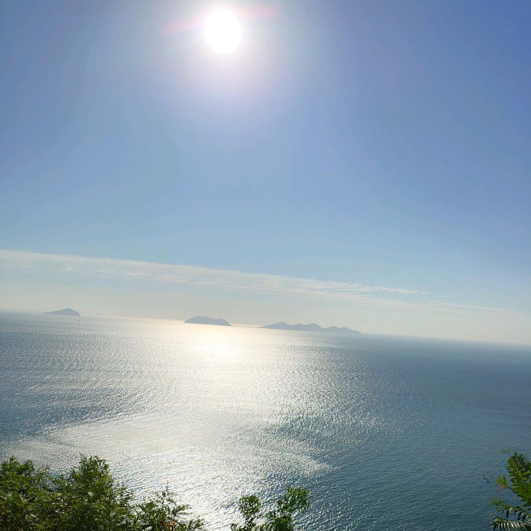 海  💪涛