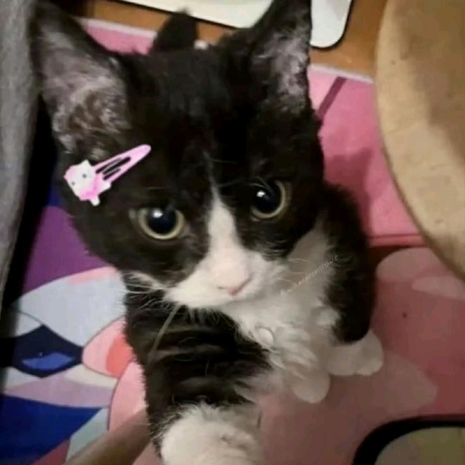 拉萨酒吧
