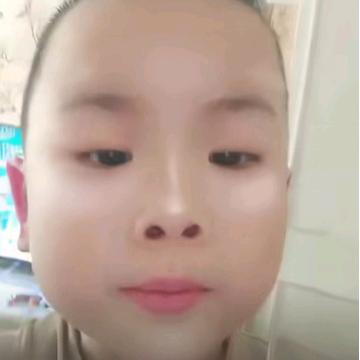 鸡