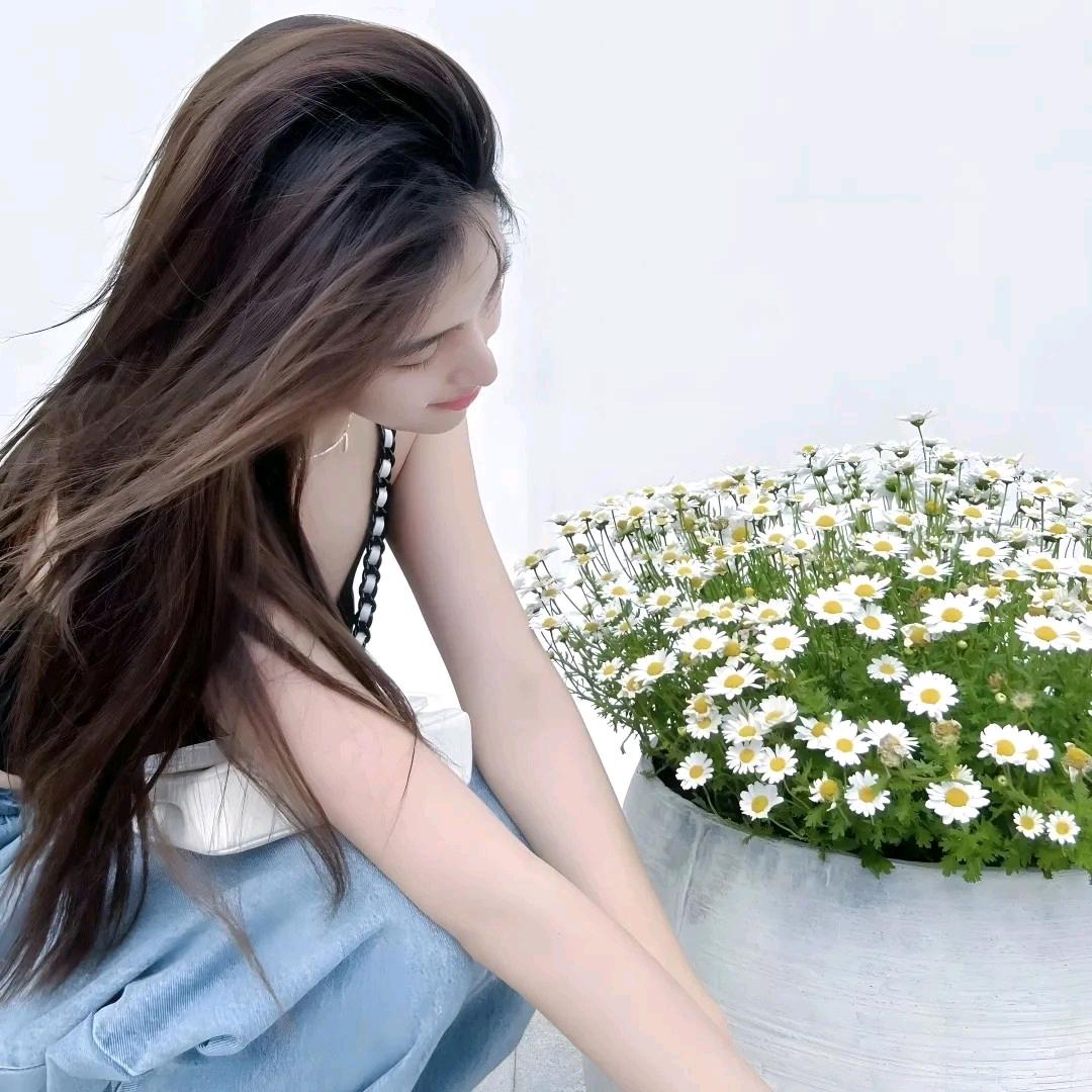 小登子