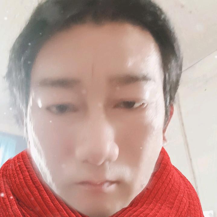 紫宁