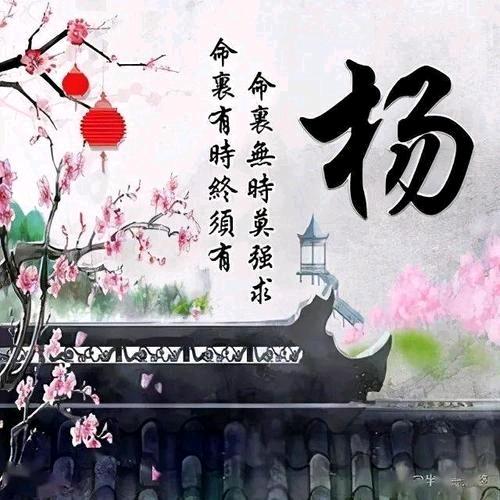 碧波小王子