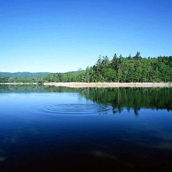 指間徘徊@煙䓍味